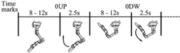Figure 1. Experiment protocol. Movement sequence of the robot  manipulator. 0UP and 0DW indicate the starting instants for lexion  (UP) and extension (DW) movements, respectively (Lana et al., 2013a).