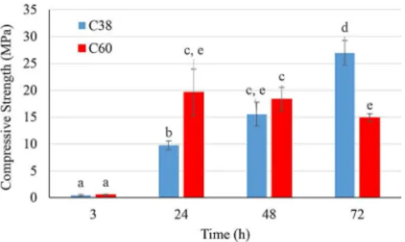 Table 1.  Speciic surface area and speciic pore volume of samples  C38 and C60, calculated by BET and BJH methods, respectively.