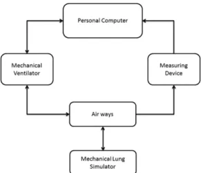 Figure 1 shows the overview of the experimental  setup. Through a serial port, connection was established  between the mechanical ventilator, the measuring  device and the personal computer