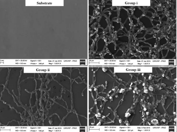 Figure 2. Images of scanning electron microscopy of the substrate surface. Groups: i) untreated; ii) treated with argon plasma; and iii)  treated with argon plus air plasma.