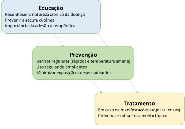 Figura  10: Reconhecer  a  importância da educação, prevenção  e tratamento. (Segundo  Thomsen, 2014) 