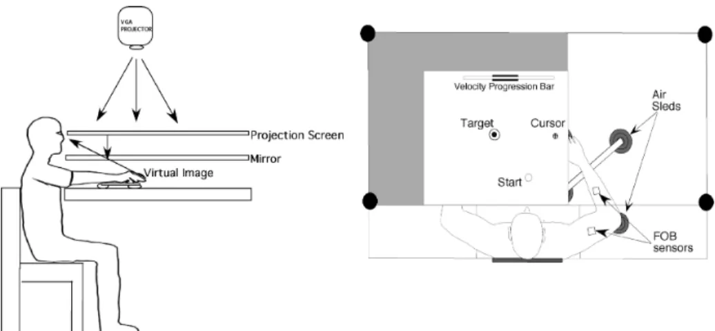 Figure 1. Experimental apparatus (lateral and top view).