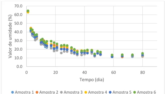 Figura 6. Variação de umidade das amostras de mogno (Swietenia macrophylla) recém- recém-cortadas procedentes da Fazenda Celeiro Sementes (Luziânia, GO) em função do tempo