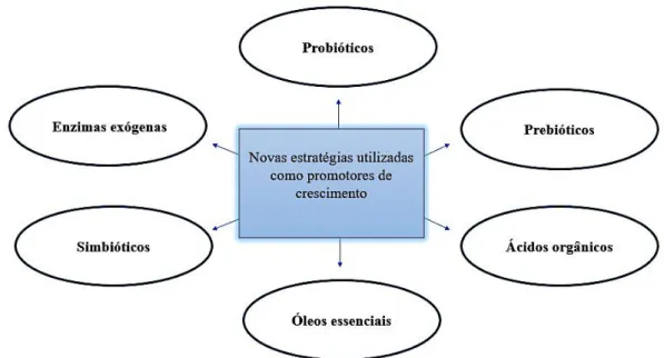 Figura  1: Exemplos de produtos alternativos utilizados como promotores de crescimento na produção  animal