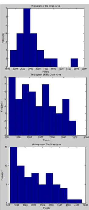 Table 1.  Accuracy percentage for input images.