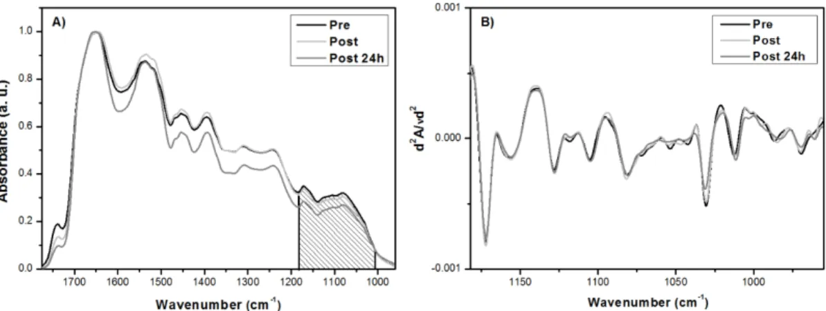 Figure 1. (A) Average FT-IR spectra of the serum samples recorded in the 1800-900 cm –1  region for samples collected pre, post and post  24 h training session