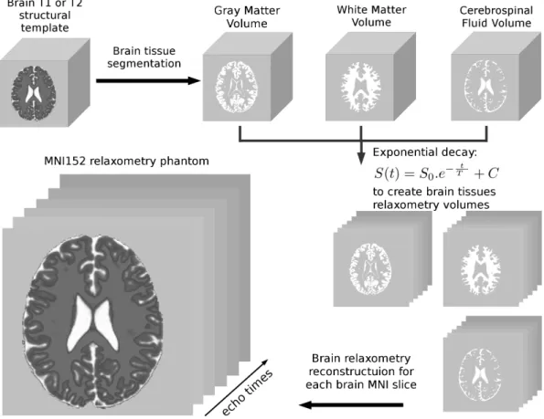 Figure 1. Computational pipeline to reconstruct the tridimensional magnetic resonance imaging relaxometry maps