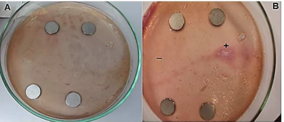 Figure 2. Sample groups images obtained on optical proiler with 20× magniication.