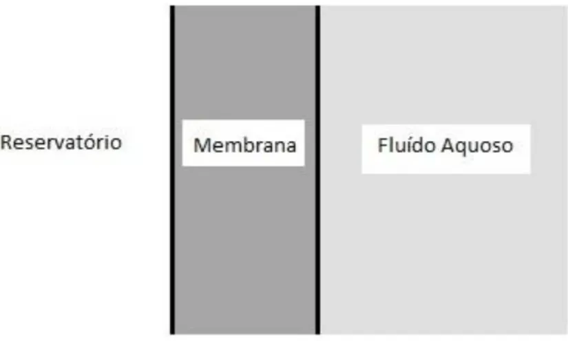 Figura 3 – Representação esquemática de um sistema reservatório utilizando-se uma  membrana densa (adaptada de Rathbone e Gurny, 2000) 