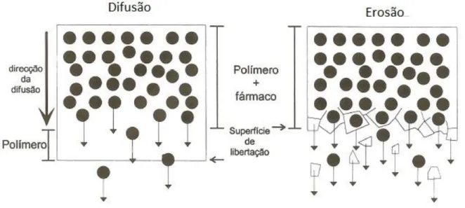 Figura 6 – Representação esquemática do processo de difusão vs erosão (adaptada de  Lopes, 2006)  