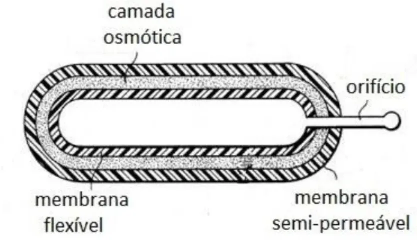 Figura 8 – Representação esquemática de um sistema osmótico (adaptada de Rothen- Rothen-Weinhold, Gurny et al