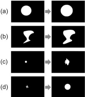 Figure 1. Phantom examples for growth simulation (a) preserving the  shape; (b) maintaining shape but not proportional in every direction; 