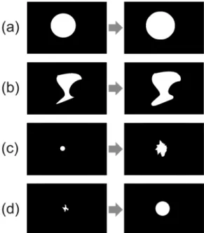 Figure 1. Phantom examples for growth simulation (a) preserving the  shape; (b) maintaining shape but not proportional in every direction; 