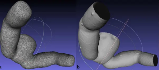 Figure 4. Meshes generated from 3D surface reconstruction of the hip and legs of the doll