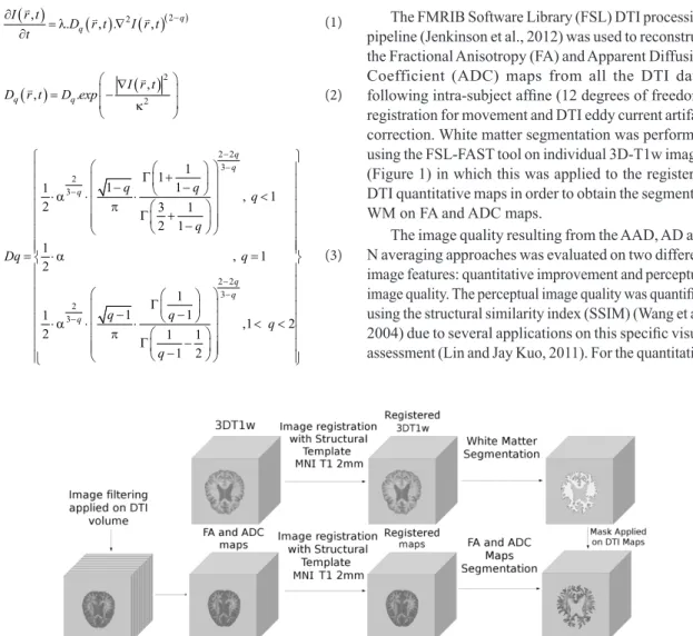 Figure 1. Diagram showing the general image processing applied for white matter segmentation on FA and ADC maps