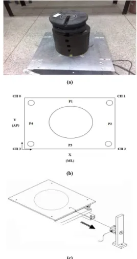 Figure 2. (a) Static calibration with load placed on the center of platform; 