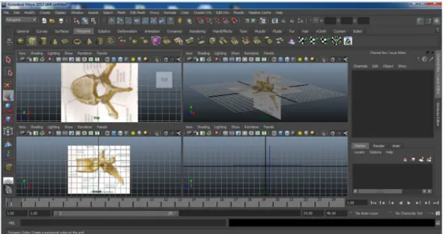 Figure 1.  MAYA screen image representing the import igure of the 6th thoracic vertebra in the top views, side and perspective, showing the  interaction between them.