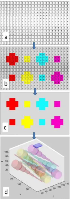 Figure 2. (a-b) Illustration of voxel values to differentiate regions, where  each value stands for a different tissue