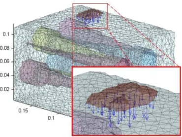 Figure 4.  Close look at the transducer location. The blue arrows depict the force applied at the nodes located in the interface between the tissue  and the transducer.