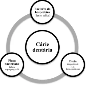 Figura 1 : Factores etiológicos da cárie dentária (adaptado de Samaranayake, 2006). 