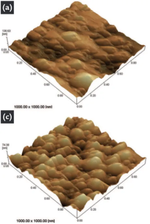 Figure 6 Micrograph AFM,  phase contrast, condition (a) T7451,  (b) T6 and (c) T6I4-65, revealing the  size and density of the precipitates.