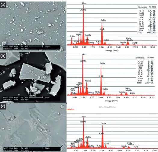 Figure 5  Image obtained via scanning  electron microscopy and EDS  spectrum to fast cooling in water