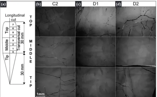 Figure 1 a) Samples taken from ingots: 