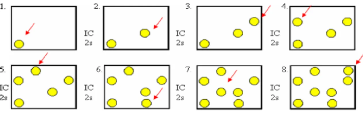 Figura  3  -  Esquema  de  uma  tentativa  do  teste  TRER.  A  seta  vermelha  representa  o  estímulo  no  qual  o  sujeito  deve  clicar  para  corresponder  a  uma  resposta  correta  (Vieira,2006)