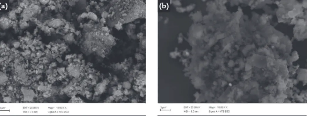 Figure 1 shows compositions 1  and 2 after 5 hours of milling. It is  possible to observe that composition  1 with 90%  β -TCP (Figure 1a) 