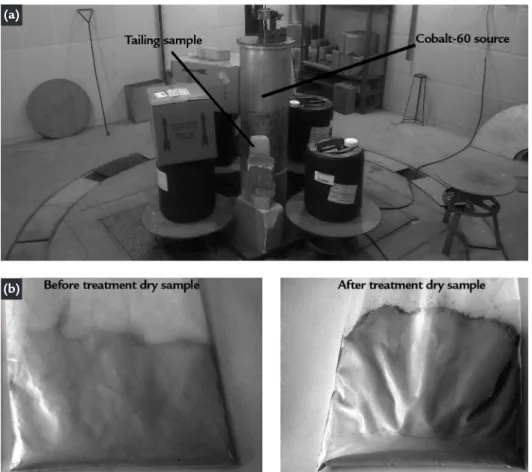 Table 2 Characterizations  performed on the tailing samples.