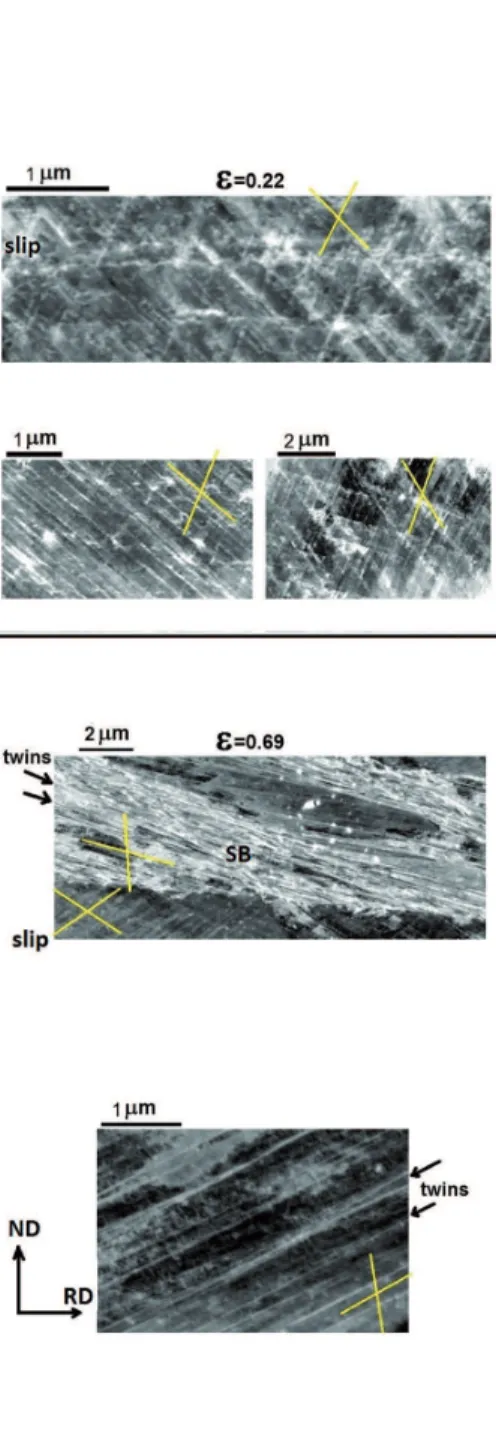 Fig. 2 shows the ECCI micrographs  showing the deformation mechanisms  with more detailed aspects in the deformed  microstructure of the 8Al steel at strains of  0.22 and 0.69