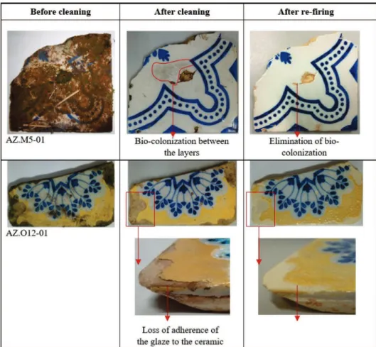 Figure 2 Samples before and  after the cleaning and firing treatment.