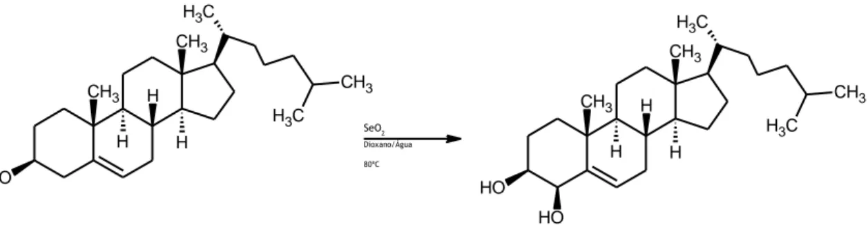 Figura 1.4 – Reação de hidroxilação alílica do colesterol, reagentes e condições reacionais.