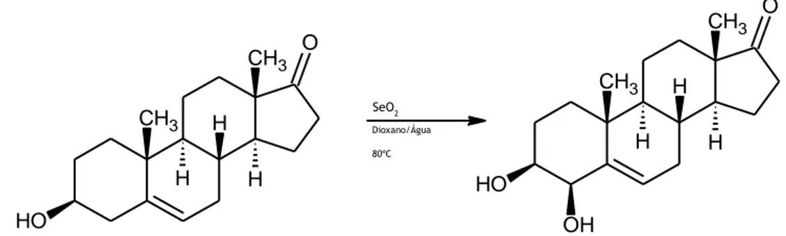 Figura 1.6 – Reação de hidroxilação alílica do DHEA, reagentes e condições reacionais.