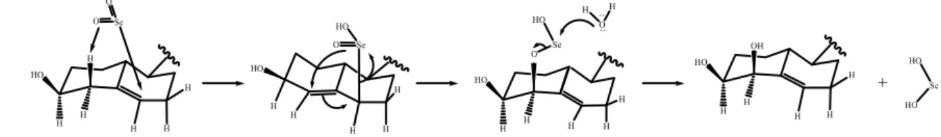 Figura 1.8 – Possível esquema reacional para a reação de 4-hidroxilação, através do uso de dióxido de  selénio (31)