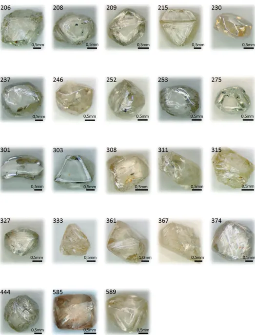 Figure 2 Pictures of the 23 diamonds analyzed  in this study. The numbers in the upper  left corner of the pictures are the codes  of the samples