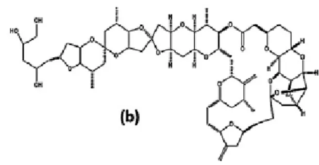 Figura 5 - Estrutura molecular  halicondrina b. Adaptado de Beesoo et 