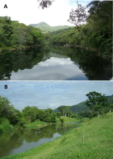 Figure 2. FS1 (A) upstream and FS2 (B) downstream. Figure 3. Rain permanence curve.