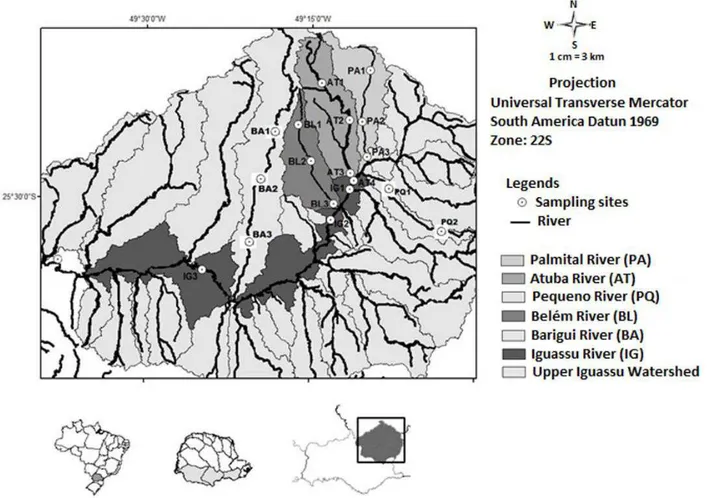 Figure 1. Study area and sampling sites at Upper Iguassu Watershed (Curitiba and Metropolitan Region): Iguassu (IG), Palmital (PA),  Iraí (IR), Atuba (AT), Pequeno (PQ), Belém (BL), and Barigui (BA) rivers.