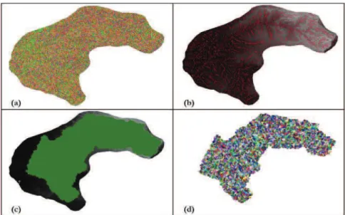Figure 1 - (a) Map of  the low direction in each cell; (b) Extracted drainage networks (c) Watershed delineated up to the deined  outlet; (d) map with catchments deined by the drainage network in a watershed