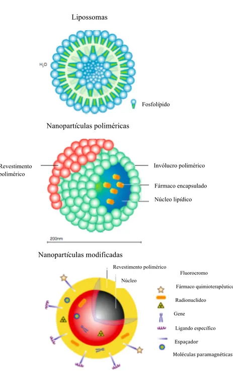 Figura  3  –  Representação  esquemática  dos  tipos  de  nanopartículas  e  possíveis  modificações (adaptada de(Papakostas et al, 2011)