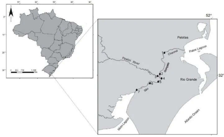 Figure 1. Area of  study and sampling points. São Gonçalo channel between the cities of  Rio Grande and Pelotas, Brazil.