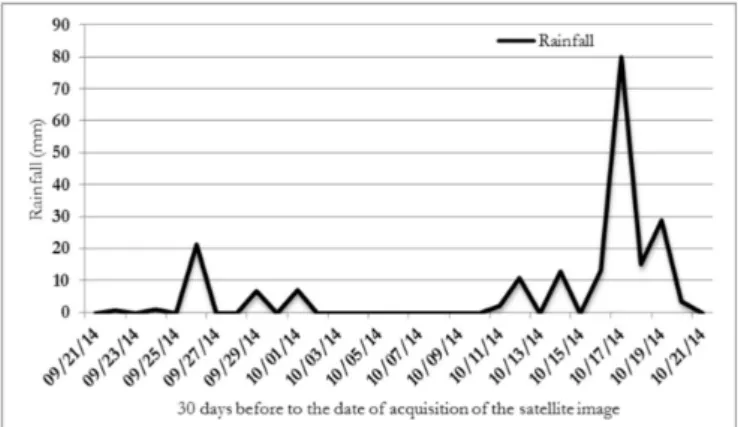 Figure 7 represents the connectivity formed by the sum  of  the looded areas relative to the four dates