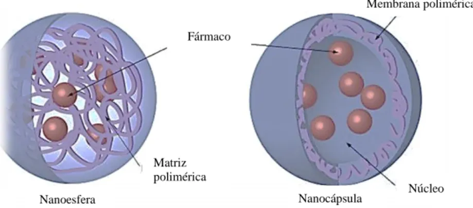 Figura 8: Representação esquemática dos dois tipos de nanopartículas poliméricas (adaptado de Bei et al.,  2010)