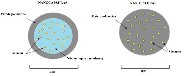 Figura  7  –  Representação  esquemática  da  classificação  das  nanopartículas  (nanocápsulas e nanoesferas) (adaptada de Melo et al., 2012)