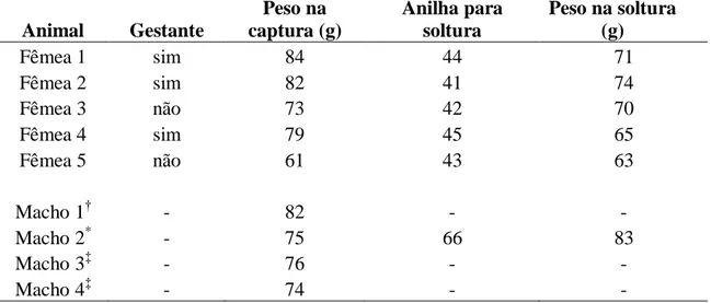 Tabela 1. Descrição dos sujeitos experimentais utilizados no experimento para avaliação da visão de  cores  em  morcegos  Artibeus  lituratus:  animal,  estado  gestacional  do  indivíduo,  peso  na  captura  (g),  anilha  utilizada  para  soltura  e  peso