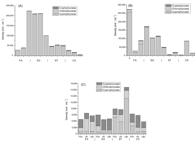 Figure 3. Total density of the main taxonomic classes of phytoplankton in the Foz do Areia (FA), Salto Segredo (SG), Salto Santiago (ST) and  Salto Caxias (CX) reservoirs in the months of November/2012 (A), February/2013 (B) and October/2013 (C)