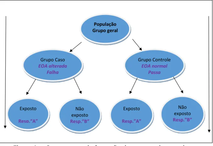 Figura  4  -    Organograma  de  formação  dos  grupos  da  pesquisa  e  delineamento do estudo