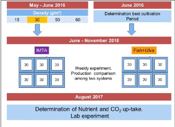 Figure 2.2. Time schedule of experiments ran during the study  