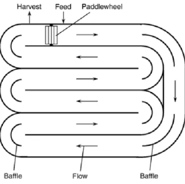 Figure 3.4 - Aerial view of a raceway pond (Chisti, 2007). 